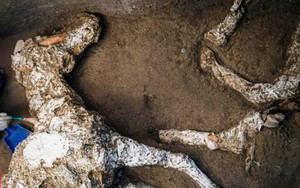 Phát hiện xác ngựa còn nguyên yên cương gần 2.000 năm sau thảm họa núi lửa Vesuvius