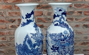 Giáp Tết Kỷ Hợi 2019, lục bình phong thủy đắt hàng
