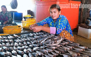 Lý do thu nhập "khủng" dịp Tết ở làng khô Cái Đôi Vàm