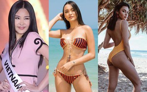Trước các đối thủ nóng bỏng này, số phận Ngân Anh sẽ ra sao?