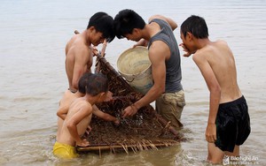 Mục sở thị những kiểu "săn" cua độc đáo ở Nghệ An