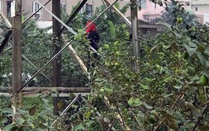 Hà Nội: Phát hiện thi thể nam thanh niên treo cổ trên cột điện, hai tay bị trói chặt