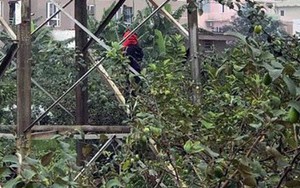 Nội dung thư tuyệt mệnh của thanh niên tử vong trong tư thế treo cổ, 2 tay bị trói