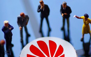 Trung Quốc và Huawei phải đương đầu với “chiến thuật bầy sói” của phương Tây
