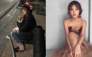 Đứng chờ hàng tiếng đồng hồ tìm chủ chó lạc ở Hồ Tây, cô gái xinh đẹp bị tố "làm màu"
