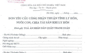 Làm giả quyết định ly hôn để dọa vợ, chồng 9x đi tù 1 năm