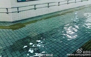 Cộng đồng mạng sửng sốt trước cảnh nước lũ ngập Nhật Bản vẫn sạch trong, không một cọng rác
