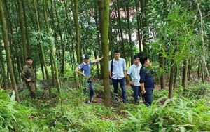 Phát hiện thi thể phó chủ tịch xã nằm trên chiếu ở quả đồi sau nhà