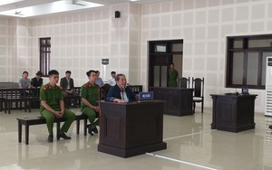 "Đại gia" 83 tuổi lãnh án 20 năm tù vì bán đất vàng ven biển trên giấy