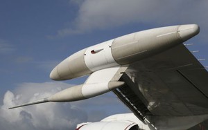 Một con chim hạ gục chiếc máy bay được thiết kế để chống cuộc tấn công hạt nhân
