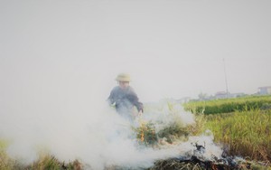 "Sát thủ" không khí lại xuất hiện, khói rơm rạ bắt đầu bủa vây Hà Nội