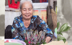 Triết lý sung sướng phụ nữ hiện đại nào cũng phải học từ cụ bà 81 tuổi bán hoa gói lá 70 năm ở góc chợ Đồng Xuân