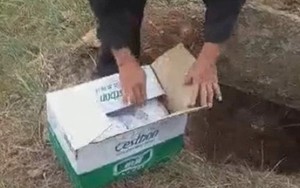 Tiếng khóc ngắt quãng dưới lòng đất và phát hiện kinh hoàng của dân làng