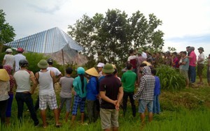 Cây gãy đè chết người phụ nữ ngồi trên xe trâu