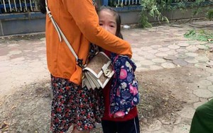 Hà Nội: Bé gái sợ hãi khóc thét khi bị cây đổ trúng trên đường tới lớp