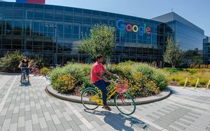 Công ty mẹ của Google báo cáo doanh thu tăng, nhưng lợi nhuận sụt giảm mạnh
