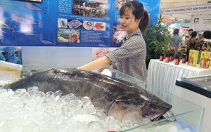 Cá ngừ đại dương nặng 30kg, "thủy quái" dài cả mét gây "sốt" tại chợ hải sản Hà Nội