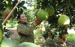 Nghệ An: Hàng trăm người dân viết đơn xin thoát nghèo