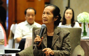 Bà Phạm Chi Lan: Tăng thuế để hạn chế dân di cư vào Hà Nội, TP.HCM là "không công bằng, dễ tạo tiền lệ xấu"