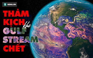 'Quả bom nhiệt' kích hoạt, giết chết hải lưu Gulf Stream: Viễn cảnh đáng sợ nào sẽ xảy ra với con người?