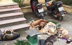Băng nhóm Hà Nội lên Hoà Bình bắt trộm hơn 130kg chó