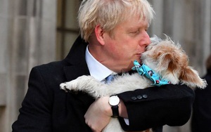 Tổng tuyển cử Anh: Thủ tướng Boris Johnson dắt chó đi bỏ phiếu