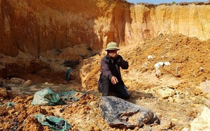 Giao công an điều tra, làm rõ vụ chôn trộm chất thải nguy hại ở Sóc Sơn