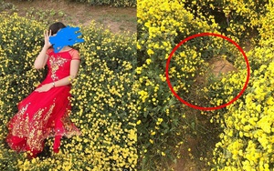Nằm hẳn lên luống hoa cúc chụp ảnh, cô gái khiến người dân phẫn nộ, viết bài tố cáo