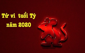 Sự nghiệp, tài lộc của người tuổi Tý trong năm 2020: Được quý nhân phù trợ, có nhiều chuyển biến tích cực