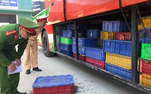 “Khám” xe khách phát hiện hơn 5 tấn động vật rừng