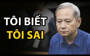 Vụ Vũ 'nhôm' thâu tóm đất vàng: Cựu phó chủ tịch TP.HCM Nguyễn Hữu Tín: "Bị cáo rất đau xót"