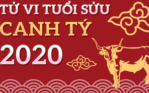 4 tháng thăng hoa của người tuổi Sửu trong năm Canh Tý 2020, sự nghiệp phát triển, liên tiếp gặp may