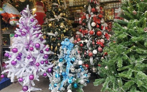 Cận Giáng sinh, cây thông Noel khổng lồ "hét" giá 120 triệu đồng