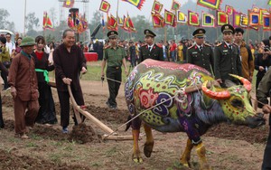 Phó Thủ tướng mặc áo nâu xuống ruộng dắt trâu đi cày ở lễ hội Tịch Điền