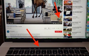 Mẹo bỏ qua quảng cáo YouTube trên MacBook Pro
