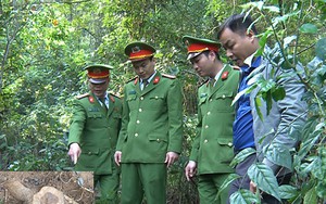 2 cảnh sát có nguy cơ phơi nhiễm HIV khi bắt kẻ trộm sưa