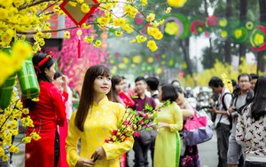 Những câu chúc Tết Nguyên đán 2019 hay và lãng mạn dành cho người yêu