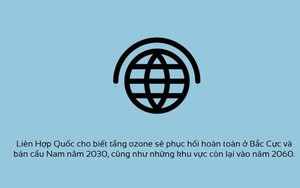 Những tin tốt năm 2018 trên thế giới khiến bạn lạc quan vào cuộc sống