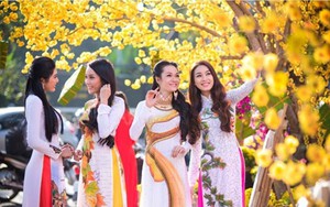 Những hướng, ngày, giờ xuất hành tốt nhất dịp Tết Nguyên đán Kỷ Hợi