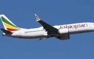 Hàng không họp khẩn: Cấm toàn bộ Boeing 737 Max trong vùng trời Việt Nam
