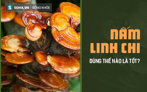 Nấm linh chi dù tốt đến mấy nhưng nếu sử dụng sai lại rất nguy hiểm: 7 vấn đề cần lưu ý