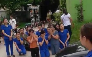 Vụ giáo viên quỳ gối xin dạy: Chủ đầu tư kiến nghị lên tỉnh Nghệ An