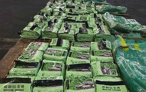 Tổng cục trưởng Tổng cục Hải quan nói về vụ phối hợp bắt 276 kg ma túy đá tại Philippines