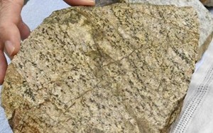 Nhật Bản: Phát hiện tảng đá có niên đại 2,5 tỉ năm