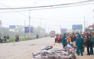 Vụ tai nạn 7 người chết: "Cố gắng báo hiệu nhưng tài xế vẫn lao tới"