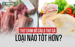 Dân gian ví von "1 chim câu tốt bằng 9 gà": Chuyên gia phân tích sẽ khiến bạn bất ngờ