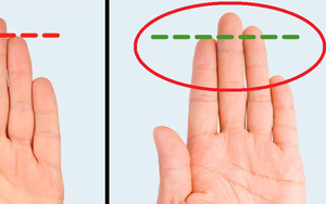 Đặc quyền của đàn ông có ngón trỏ ngắn hơn ngón đeo nhẫn: Phụ nữ "chết mê"