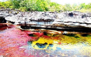 Đây là con sông đẹp nhất thế giới: Lung linh 5 màu sắc, được mệnh danh là "cầu vồng sống" vi diệu nhất