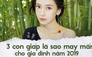 Năm nay có 3 con giáp là phúc tinh cho gia đình, giữa năm sự nghiệp thăng hoa vững chắc, cuối năm tiền vô như nước, giàu có hưng thịnh