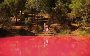 Bí ẩn hồ nước lạ chuyển màu hồng, ùn ùn người kéo đến chụp ảnh